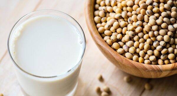What is the difference between Whey and Casein protein